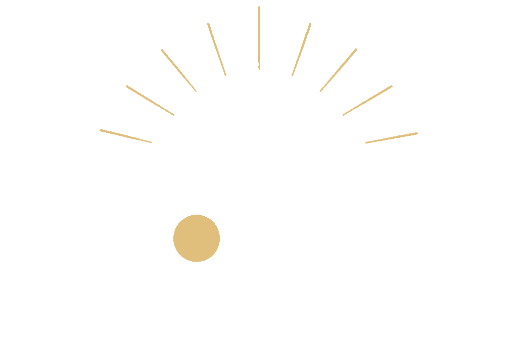 HOMS Group
